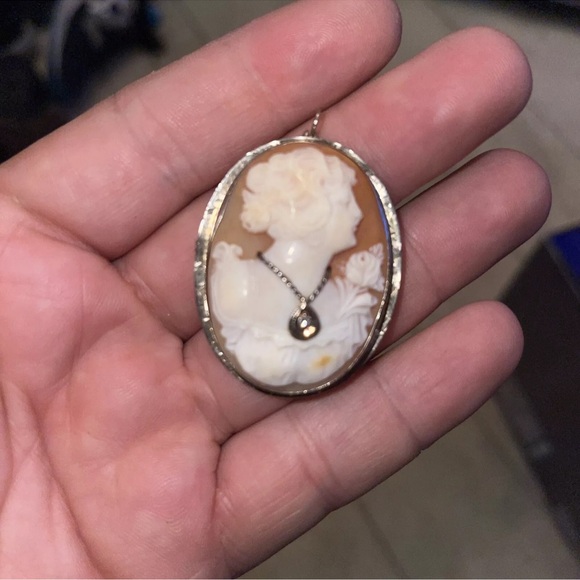 Elegant Cameo Pendant Necklace - Brown and White